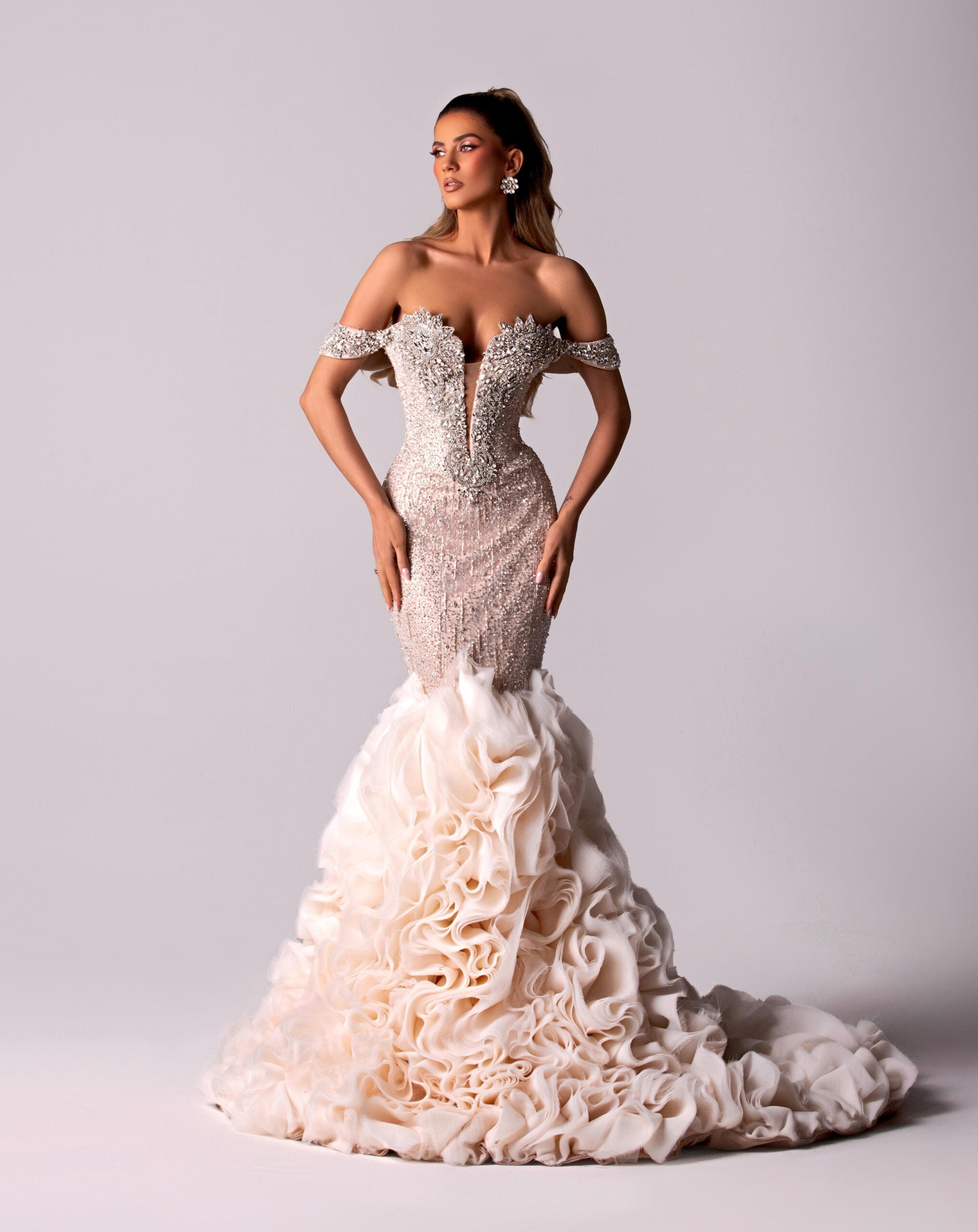 Tulle Embroidered Dress