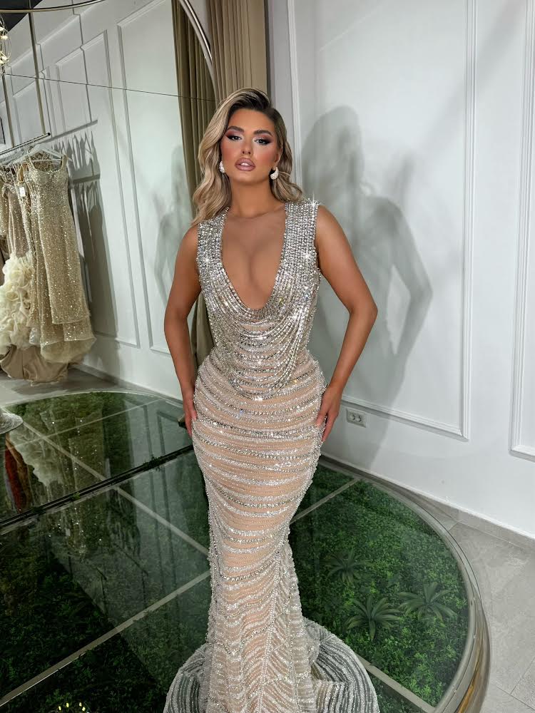Embroidered Nude-Silver Dress